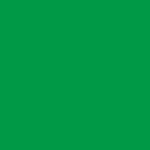 Zielona spirala Wire-O double loop – próbka koloru